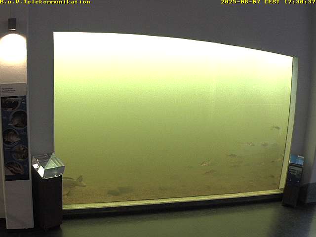 Webcam